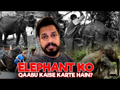Elephant ko QAABU kaise karte hain?