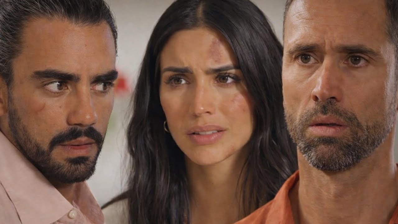 CABO EPISODE 77: Eduardo claims to be the father of Sofia's baby and wants  to take care of the child - YouTube