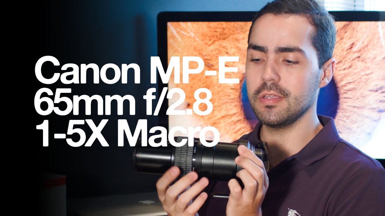 Canon MP-E 65mm f/2.8 1-5X