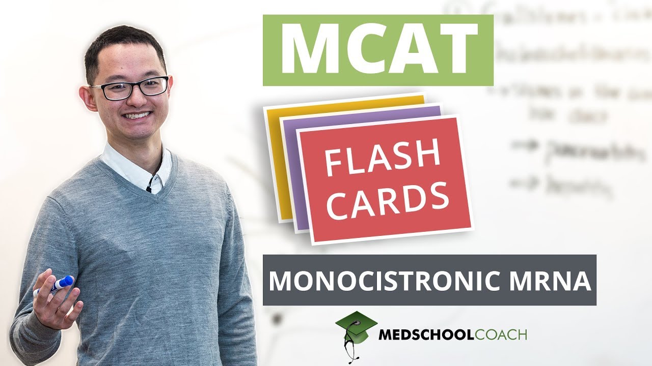 MCAT Flashcard: Monocistronic mRNA