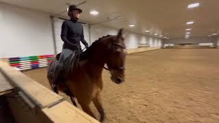 Christine Mosso Second Level Test 2 Feb 28 Show