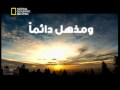 اعلان البرنامج الوثائقي الكون المعجز 