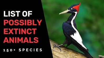 Possibly Extinct Animals of the last 500 years (150 + species)