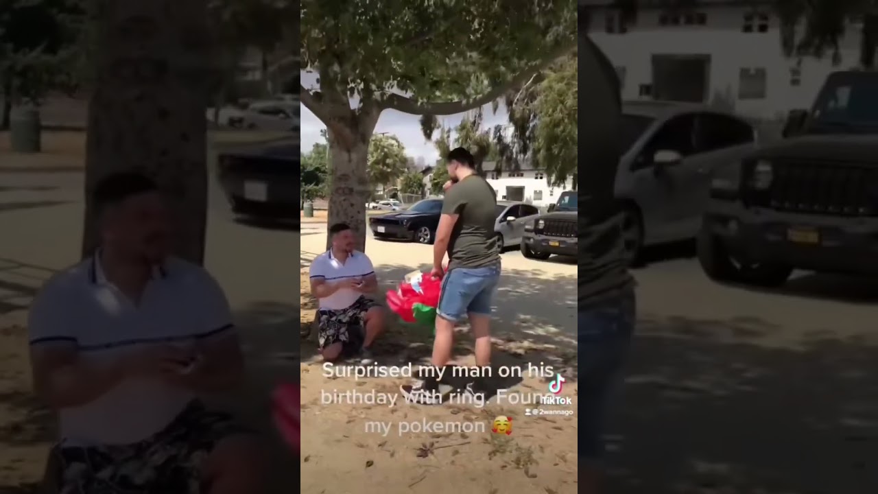 Gaymer proposes to bf using a pokeball  