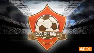 AEOL GESTIÓN + screenshot 5