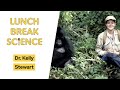 Lunch Break Science #42 | Kelly Stewart