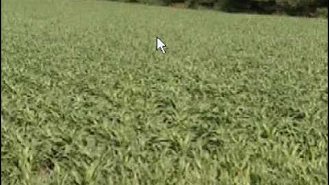 Virtual Dub 1 8 8 please append codec in file save as