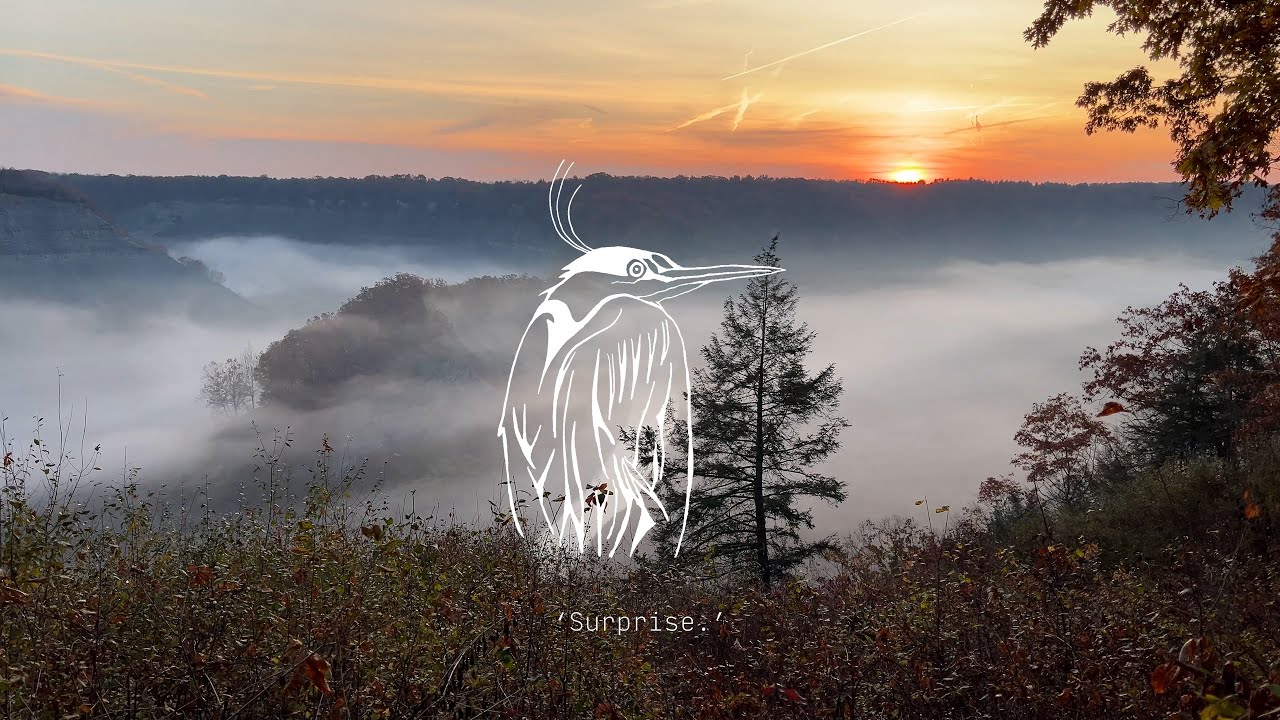 Photography around Rochester - ‘Surprise.’ - (POV/walk ‘n’ talk)