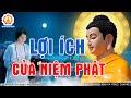 Kể Chuyện Đêm Khuya Niệm Phật Mỗi Đêm Giúp Bạn Có Cuộc Sống An Nhàn Hạnh Phúc Bình Yên Hơn #MỚI