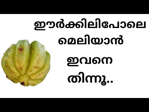 weight loss by using malabar tamarind /ശരീരഭാരം കുറയ്ക്കാൻ കുടംപുളി