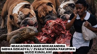 NDAKANGOPIWA URIMUDZI WEKUGARA NAWO MUHOMWE YAVA ROVAMBIRA //NDAKACHEKA MAID NDIKAKANDIRA IMBWA