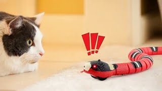 Smart Sensing Snake Cat Toy: Keep Your Cat Active & Entertained! 🐍🐾
