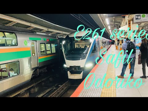 E261系サフィール踊り子　東京行き　横浜駅到着
