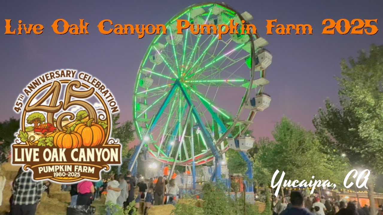 Family Time at the Live Oak Canyon Pumpkin Farm 2025