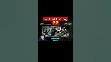 Can I Pet That Dog #gaming #funny