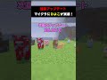 次回のアプデでひよこが実装されます！ 【最新アップデート】【26 1】