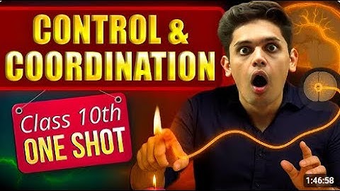 Control and Coordination 🔥| CLASS 10 Science | NCERT Covered| Prashant Kirad