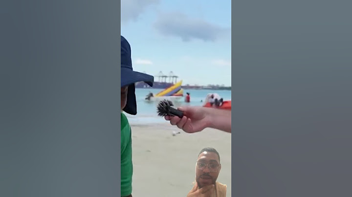 Llegué a REPÚBLICA DOMINICANA y pasó de todo | ¡Terminé arrestado!🇩🇴#luisitocomunica