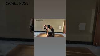 camel pose