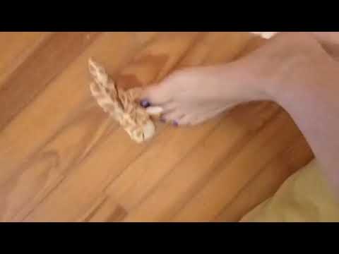 Barefoot trample feet fetish soft toy trample.