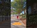 Sarap mag walking  tara sama ka #walking #exercise #shortvideo 1⅔³³#Vermosa  @alingtinderavlogs