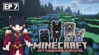Finding Cats! More Dogs! | EP 7 | Cottagecore Survival🦉A Mizuno's 16 Craft Let's Play 1.20.4