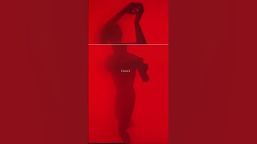 Zoetrope & Shadow — Dim Sum 002 #WebGL #ThreeJS