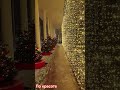 Зимняя красота продолжается