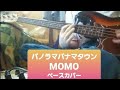 【Panorama Panama Town パノラマパナマタウン】MOMO  ベース