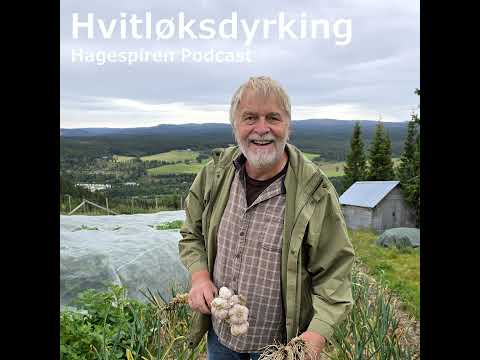 33/26: Hvitløksdyrking med Anders Nordrum