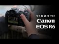 Testing the Canon R6 for Bird Photography | Autofocus Performance, Image Quality & IBIS