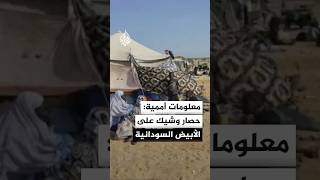 معلومات أممية عن استعداد الدعم السريع لمحاصرة الأبيض وعزلها عن محيطها