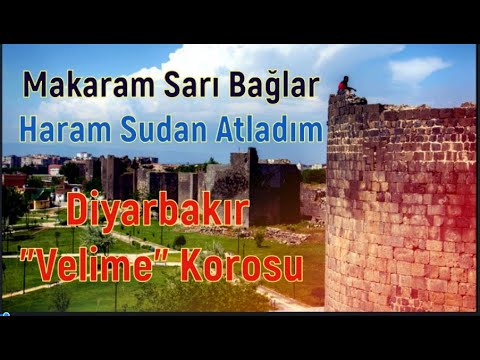 MAKARAM SARI BAĞLAR VE HARAM SUDAN ATALDIM  /  DİYARBAKIR Local Voices / YEREL SESLER PART 64