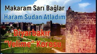 MAKARAM SARI BAĞLAR VE HARAM SUDAN ATALDIM  /  DİYARBAKIR Local Voices / YEREL SESLER PART 64 Resimi