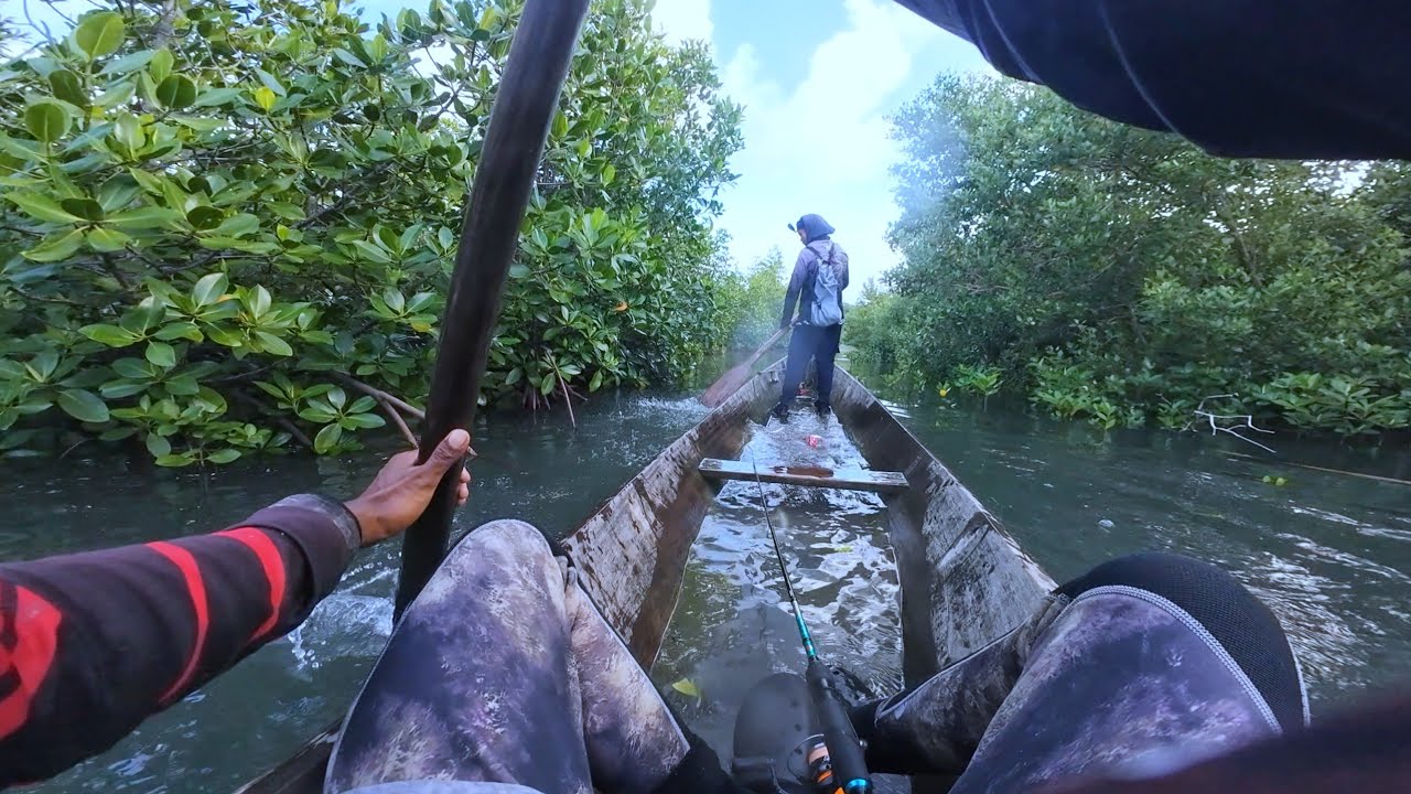 MANGROVE SNAPPER HUNTING SA TAHIMIK NA LUGAR 