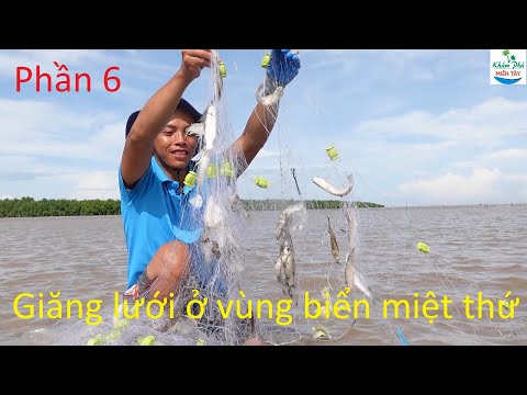 Video 817 | Trải nghiệm 72h ở vùng biển miệt thứ kiên giang... - youtube