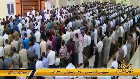 القارئ سعدون حمادي سورة القصص