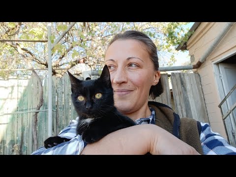 რაც დადის და მოძრაობს ყველაფერი შეჭამეს.