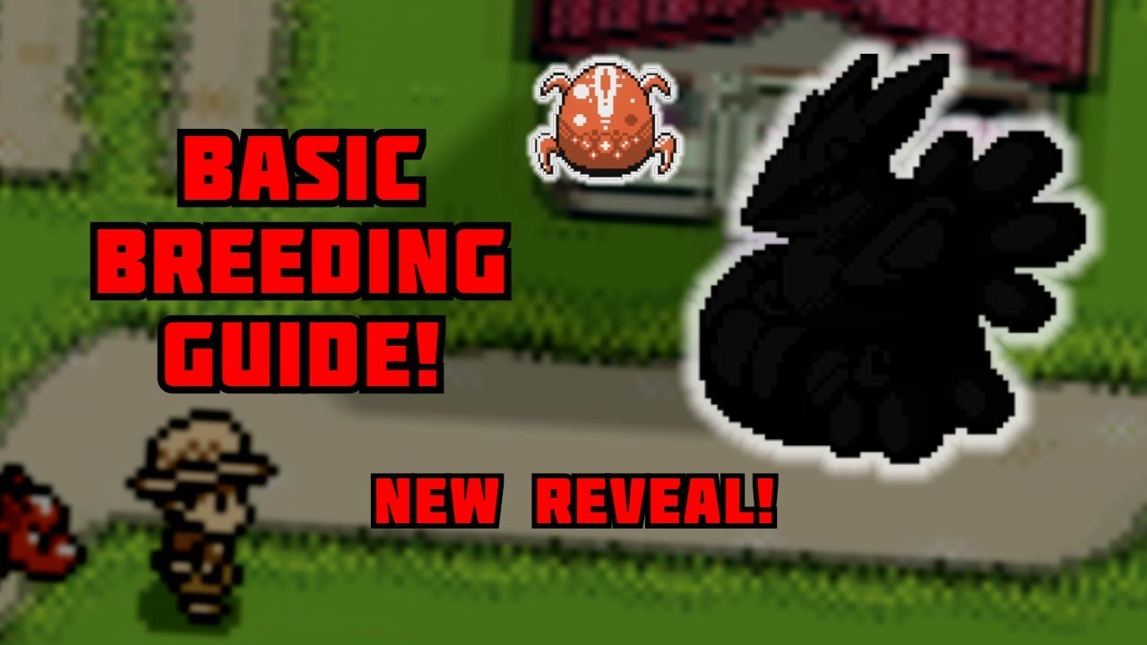 Обзор разведения Monster Crown + представлены новые скрещивания!