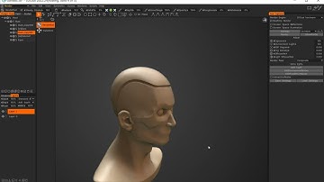 3DCoat-2022 auto bevel when you cut by curve (2022.25 and later)