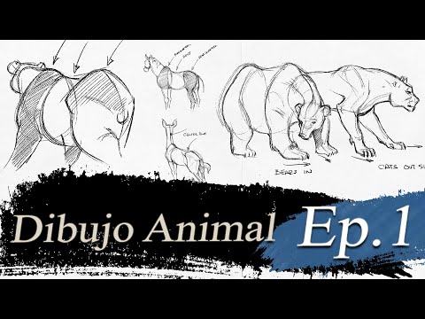 Video: Cómo Dibujar Animales En Etapas