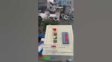 JS Vegood Multi-turn Electric Actuator-Torque Test
