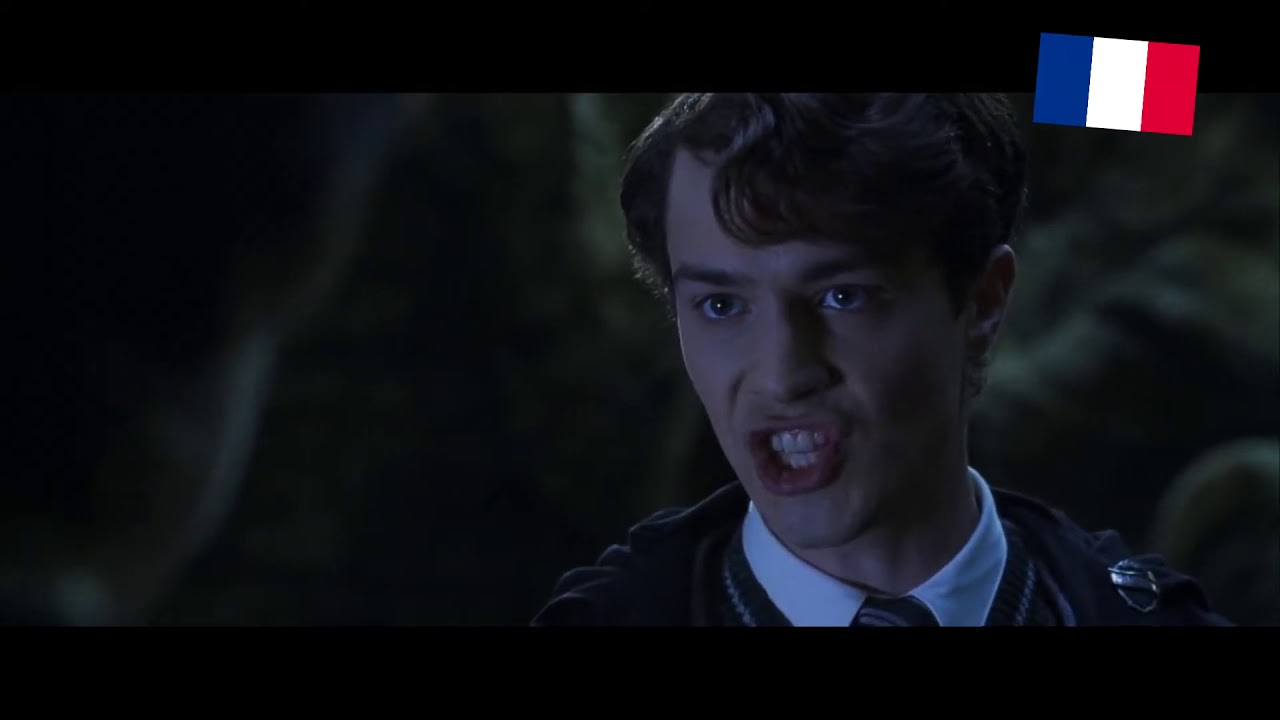 Harry Potter Comparison France VS Québec