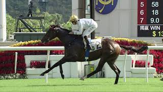 jockey Club Day 2020 Jockey Club Mile 2020 Race Replay