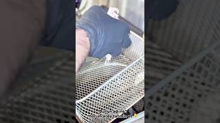 Bunu Bilen Var Mı? Şfet Şfette