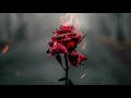 Burning rose no copyrights  fire free footage  motion graphics  free footage free stock