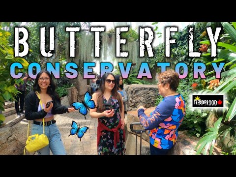 A Trip to BUTTERFLY Conservatory  ||  Niagara Parks  ||  Niagara Falls, Canada  ||  2023