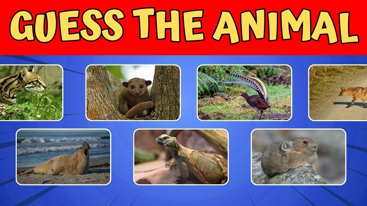 Guess the Animal by Its Image! | Fun & Challenging Word Puzzle Quiz