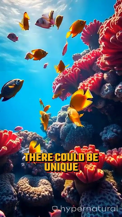 The Ocean is Wider Than the Land #funfacts #dailyfacts #story