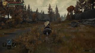 Tree falling glitch | Elden Ring [11]